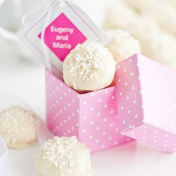 Sweet Coconut “Snowballs”