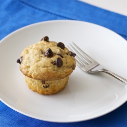 Chocolate Chip Muffins