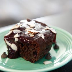Paleo Blueberry Brownies