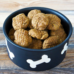 Homemade Pumpkin Dog Treats