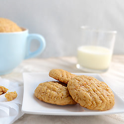 Diabetic Peanut Butter Cookies