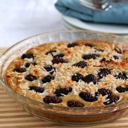 No Egg Blackberry Cake