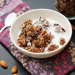 Best Apple Chocolate Granola