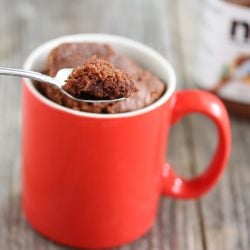 4 Ingredient Nutella Mug Cake