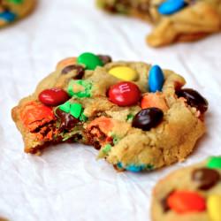 The Fat Chewy