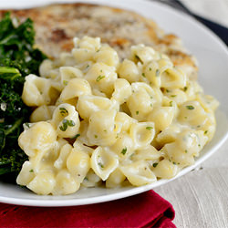 Creamy Garlic Shells