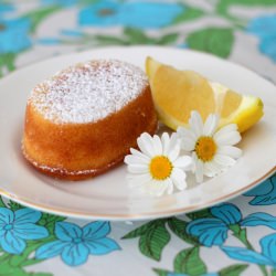 Lemon Friands