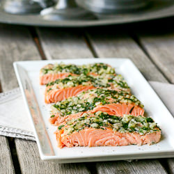 Salmon