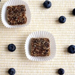 Blueberry Larabar Squares