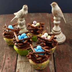 Chocolate Bird’s Nest Cupcakes