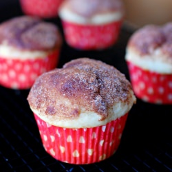Cinnamon Sugar Donut Muffins