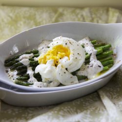 Poached Egg on Roasted Asparagus