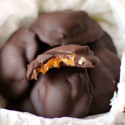 Guilt-Free Turtles