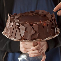Chocolate and Red Currants Cake