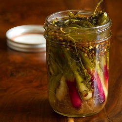 Pickled Spring Onions