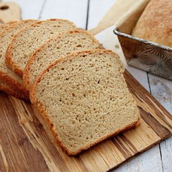 Honey Whole Wheat Sandwich Bread