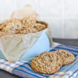 Oat and Sultana Cookies