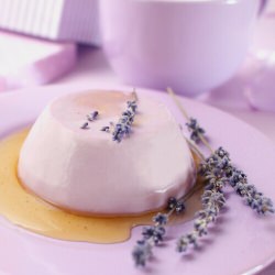 Lavender Panna Cotta with Honey