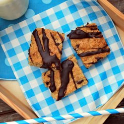 Oatmeal Nutella Bars