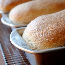 Whole Wheat Bread