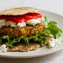 Curry Spice Veggie Burger