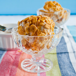 Faux Fried Ice Cream