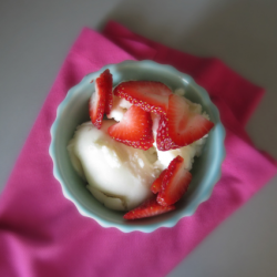 Vanilla Frozen Greek Yogurt
