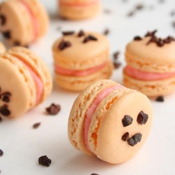 Blood Orange Macarons