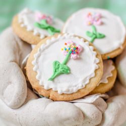 Sugar Cookies