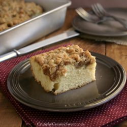 New Yorks Style Crumb Cake