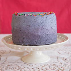 Vegan Rainbow Cake & Ombre Grosting