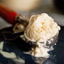 Meyer Lemon Sherbet