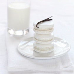 Vanilla Macarons