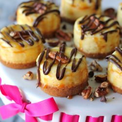 Vanilla Bean Turtle Cheesecake