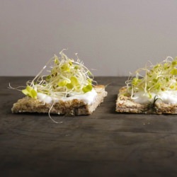 Dill Almond Pulp Crackers