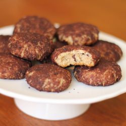 Oaty Chocolate Bites