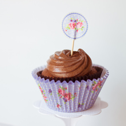 Chocolate Cupcakes