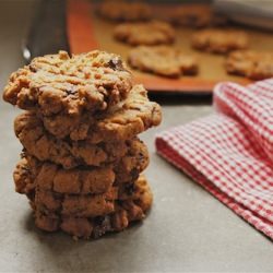 Peanut Butter Chocolate Chip Cookie