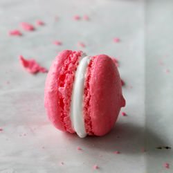 Macarons with Marshmallow Frosting