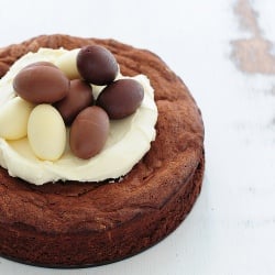 Fudgy 5-Ingredient Chocolate Cake
