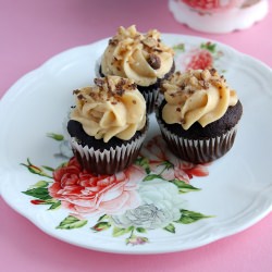 Chocolate Cupcakes