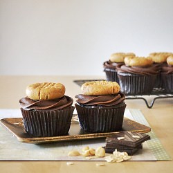 Choc PB Cookie Cupcakes