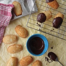 Coconut Macaroons