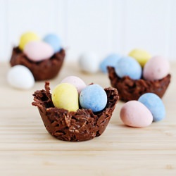 Chocolate Coconut Nests