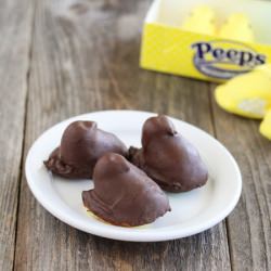 Chocolate Covered Peeps