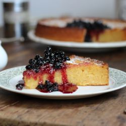 Lemon Blueberry Polenta Cake