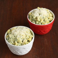 Macaroni with Pesto Alfredo Sauce