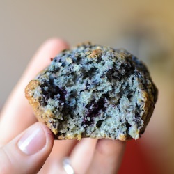 Blueberry Muffins