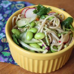 Cold Soba Noodle Salad