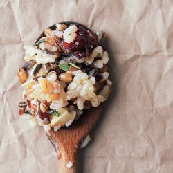 Wild Rice & Wheat Berry Salad